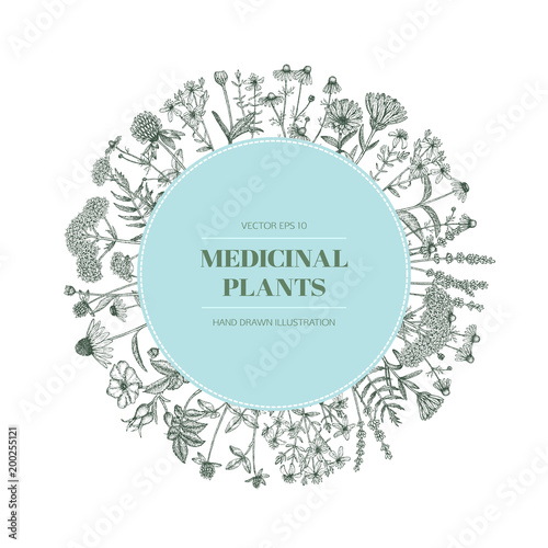 Medicinal plants.