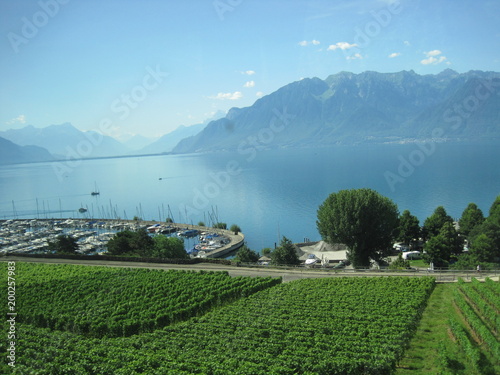 Beautiful scenery of Switzerland - Lavaux -