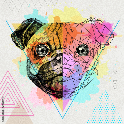 Hipster animal realistic and polygonal pug-dog on artistic watercolor background