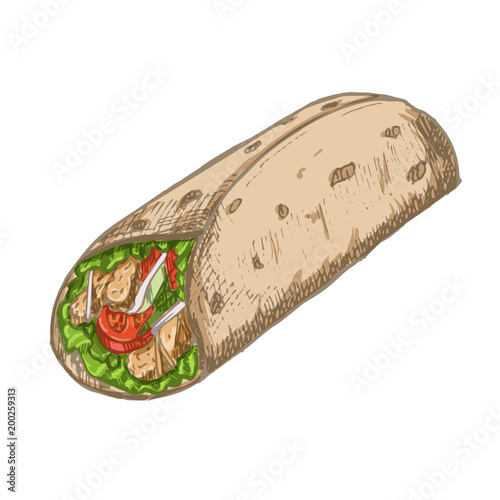 Vector vintage burrito drawing. Hand drawn fast food illustration.