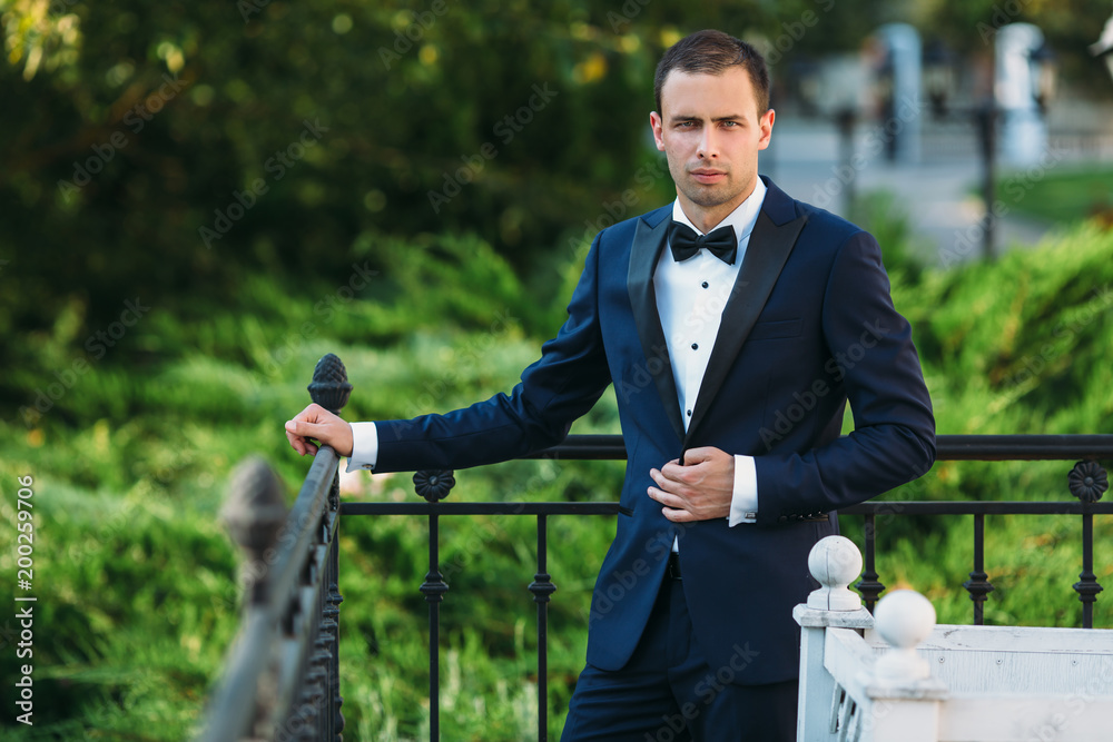 young male businessman in a classic black suit with a white shirt and a bow  tie. Portrait of the groom waiting for the bride on a wedding day in the  park. Stock