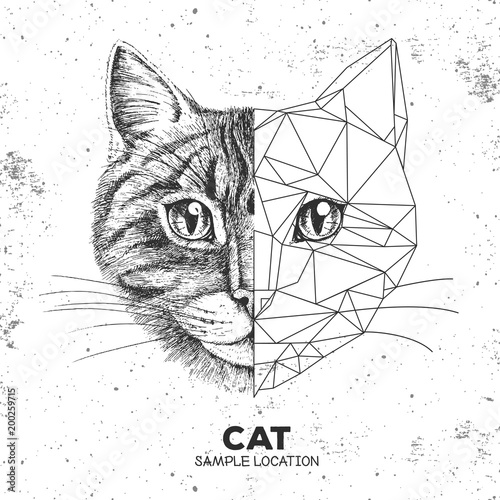 Hipster animal realistic and polygonal cat face. Triangle animal
