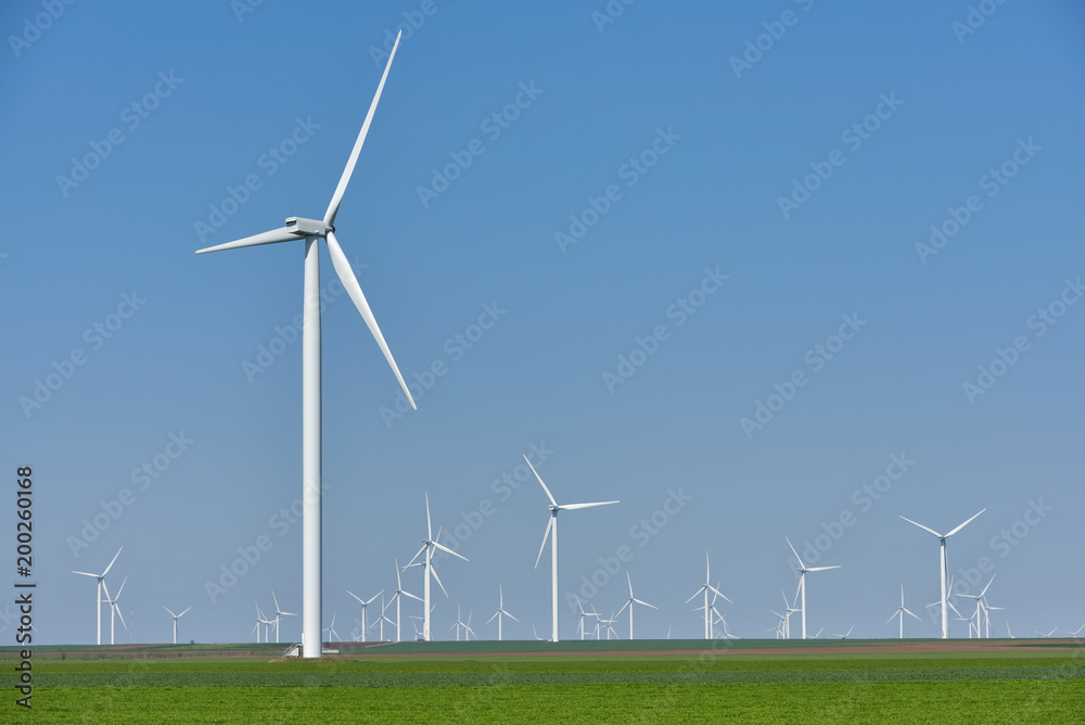 Eolian farm renewable energy in fresh green field against clear blue sky Eolian farm renewable energy in fresh green field against clear blue sky