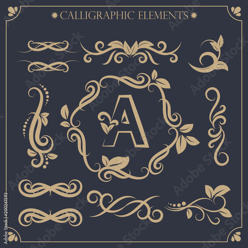 Vector set of calligraphic design elements and page decorations5