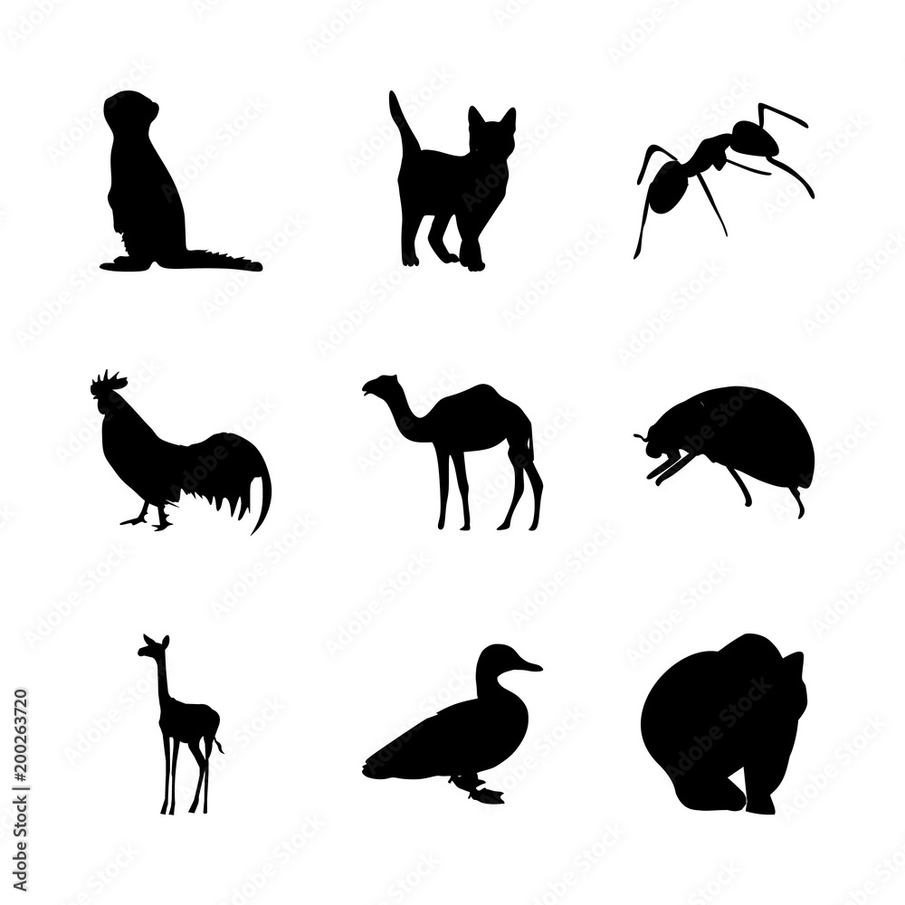 Fototapeta premium icon Animal with caravan, black, wild, comic and duck
