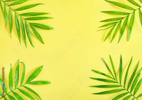 Palm leaves yellow background Floral flat lay Summer holidays