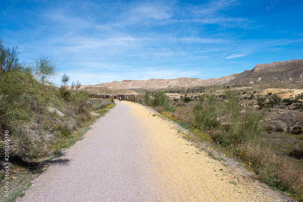 The green way of Lucainena under the blue sky in Almeria The green way of Lucainena under the blue sky in Almeria
