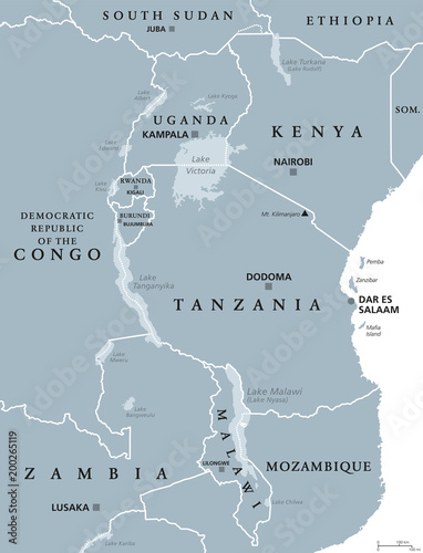 African Great Lakes. Political map with capitals and borders. Lake Victoria, Tanganyika, Malawi, Turkana und smaller ones. English labeling. Gray illustration on white background. Vector.