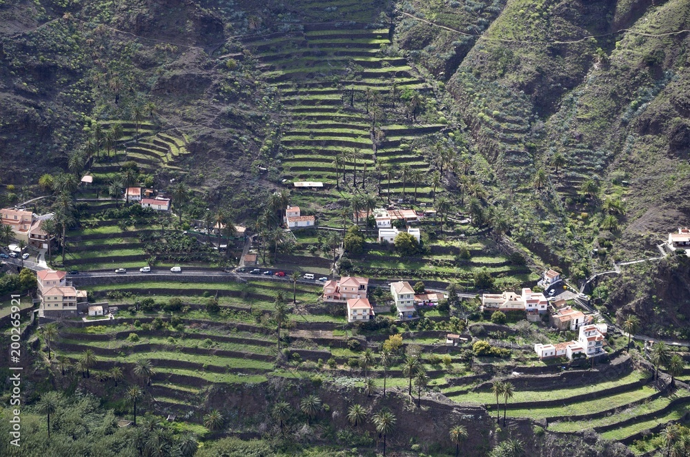 Terrassenfelder im Valle Gran Ray, Gomera