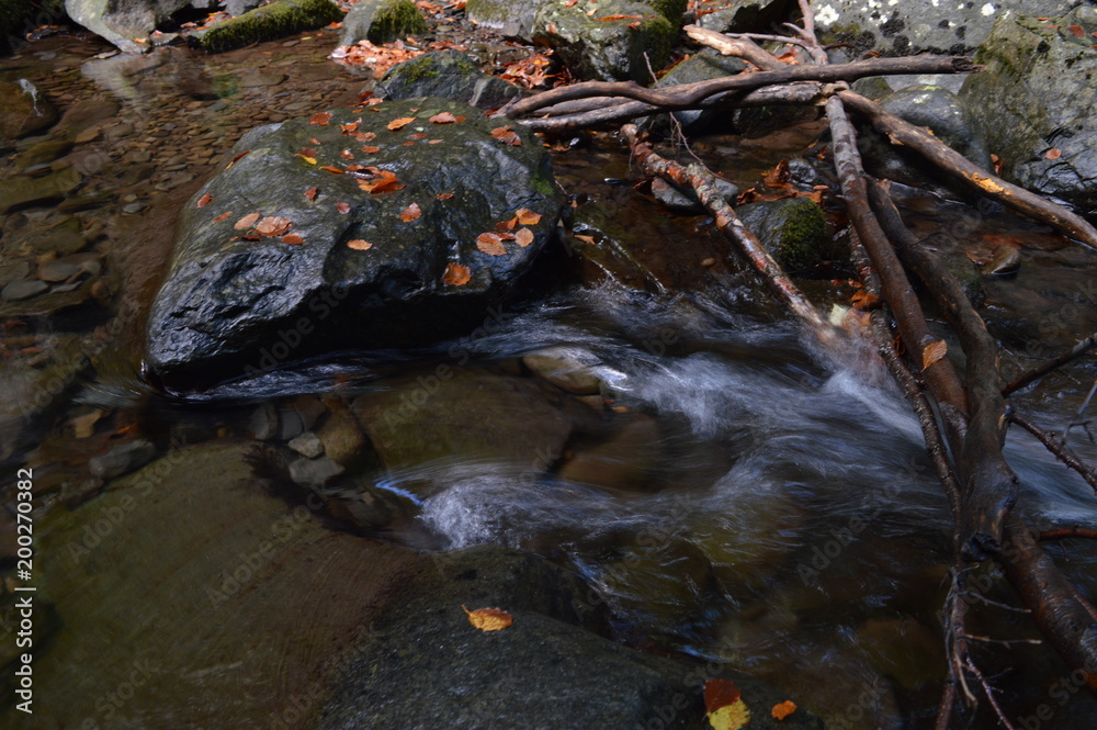 Fototapeta premium paesaggi al tramonto e natura 