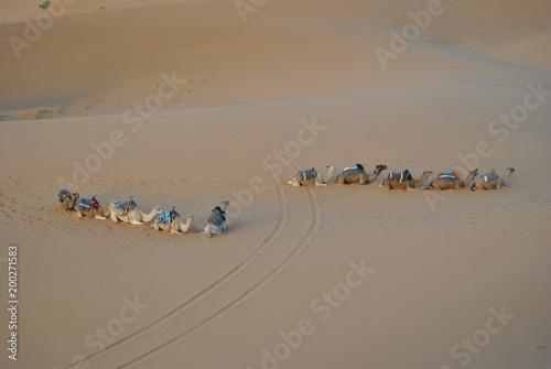 Caravana en el desierto del Sahara  Marruecos