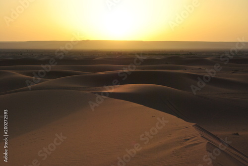 Fototapeta Naklejka Na Ścianę i Meble -  Dunas en el desieto del Sahara, al atardecer.