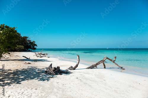 Karibisches Meer und der weiße Sandstrand auf Jamaika
 photo