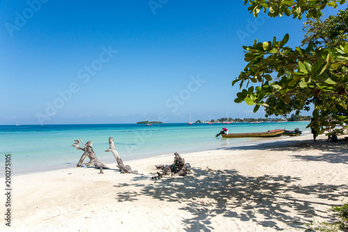 Fototapeta Naklejka Na Ścianę i Meble -  Strand in der Karibik auf Jamaika