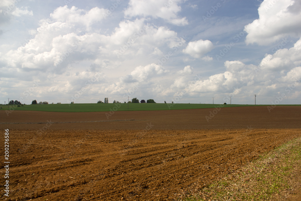 Large field during a summer day Large field during a summer day