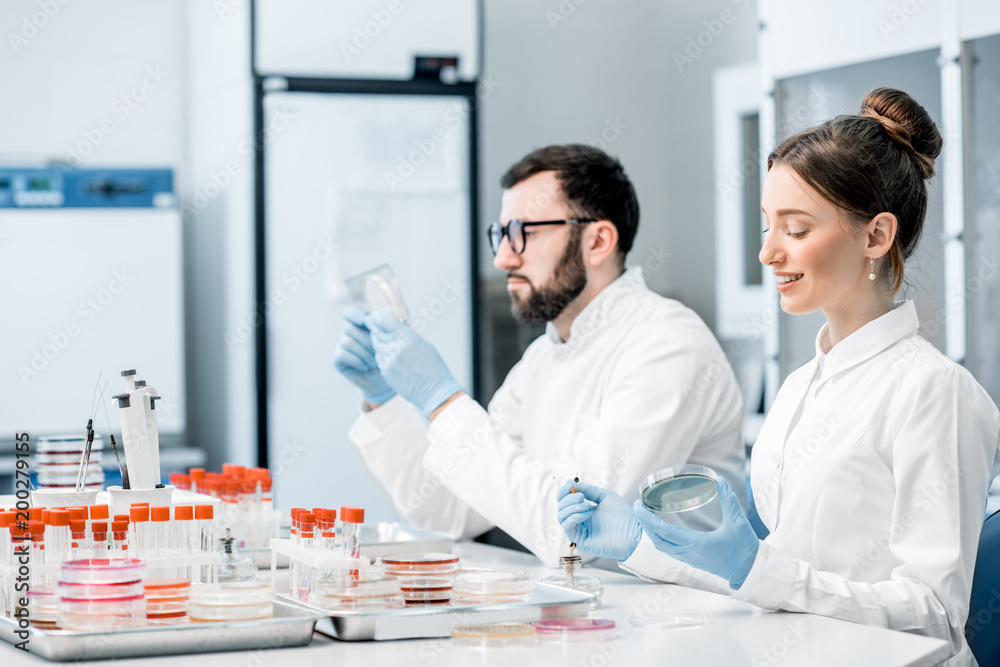 Couple of medics in uniform making bacteriological tests sitting in the modern laboratory Couple of medics in uniform making bacteriological tests sitting in the modern laboratory