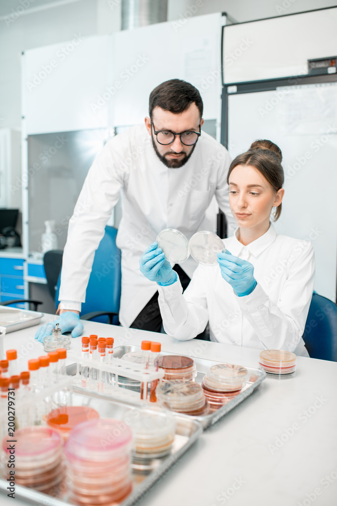 Couple of medics in uniform looking on the effect of antibiotics on bacteria in Petri dishes making bacteriological tests in the modern laboratory Couple of medics in uniform looking on the effect of antibiotics on bacteria in Petri dishes making bacteriological tests in the modern laboratory