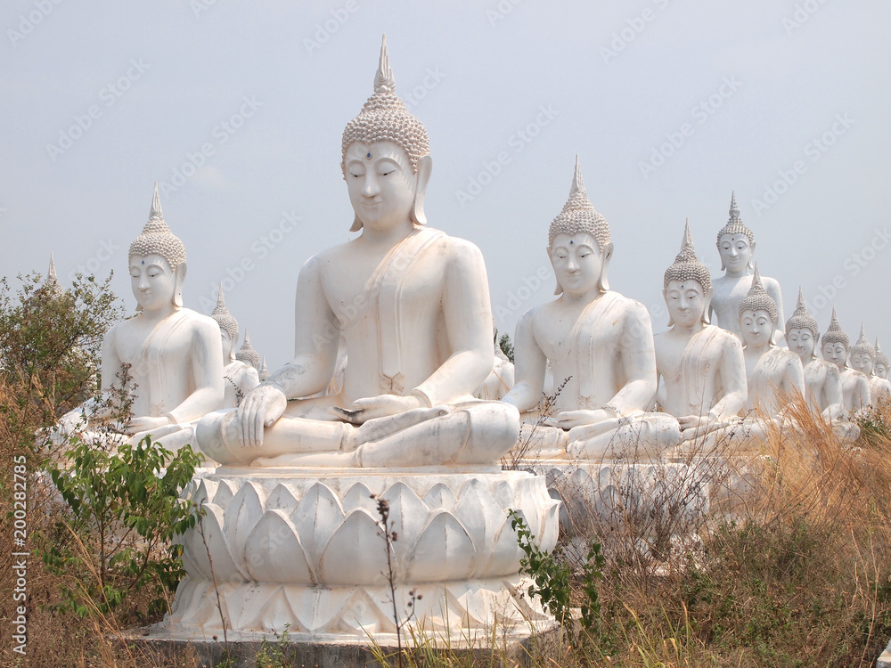 Sakeaw ,Thailand - March 29 , 2015 : Row of White Buddha statue on the field for worship. Sakeaw ,Thailand - March 29 , 2015 : Row of White Buddha statue on the field for worship.