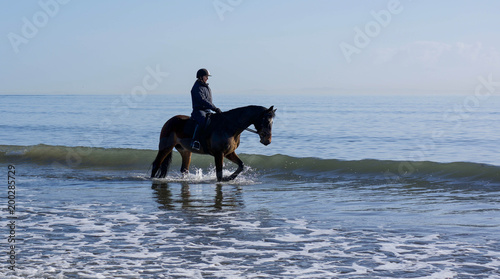 Horse ay beach