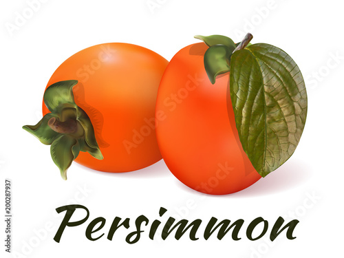 Persimmon - a still-life of two fresh fruits with a green leaf and soft shadows lying on the surface. Juicy, fruit dessert. Vivid, realistic, vector illustration. Isolated on white background.