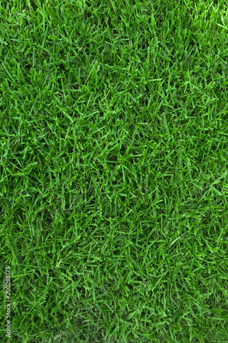 Grass field for football