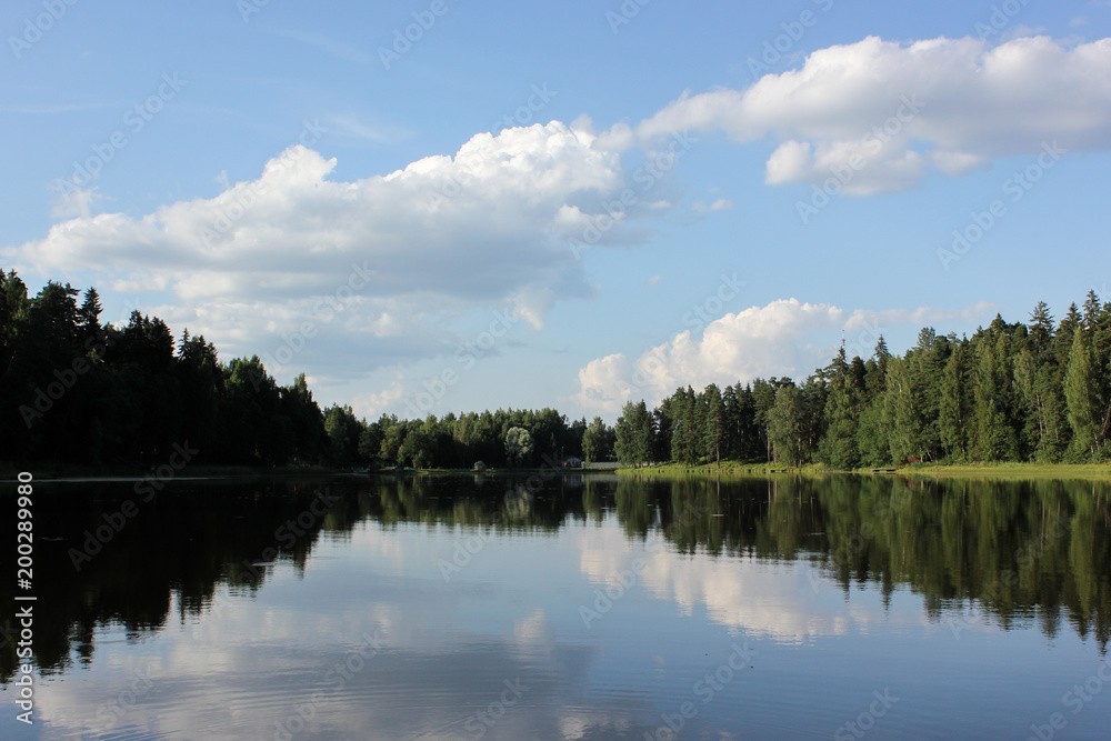 beautiful lake landscape with trees and herbs