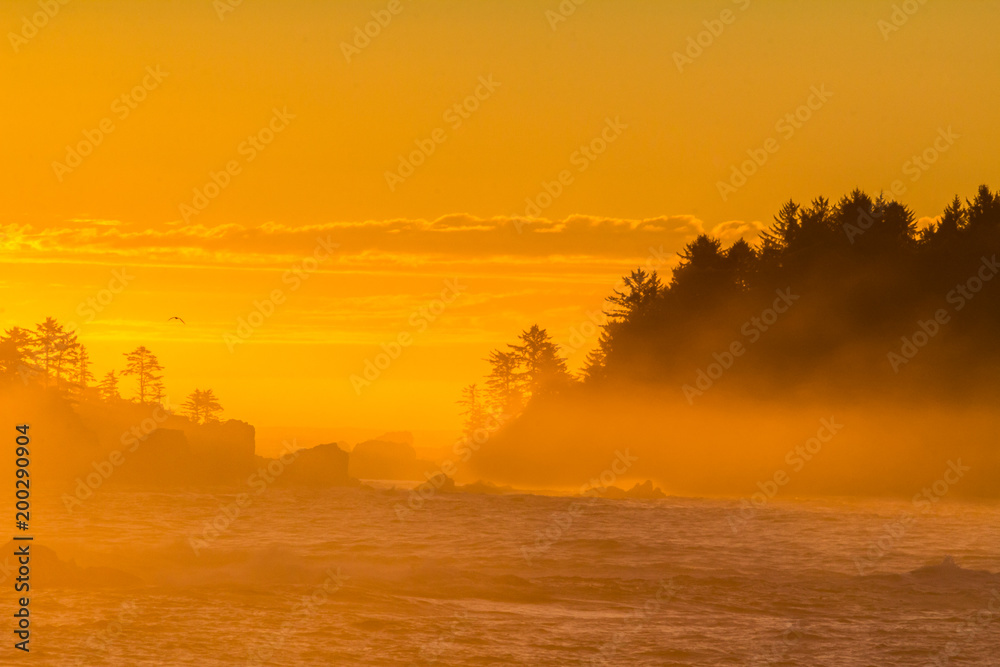 Golden sunrise on the wild west coast of Vancouver Island. Golden sunrise on the wild west coast of Vancouver Island.