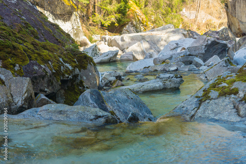 Flowing water of river Sarca in Val Genova next to the Cascate Nardis seen on a sunny spring day  Trentino  Italy  Europe