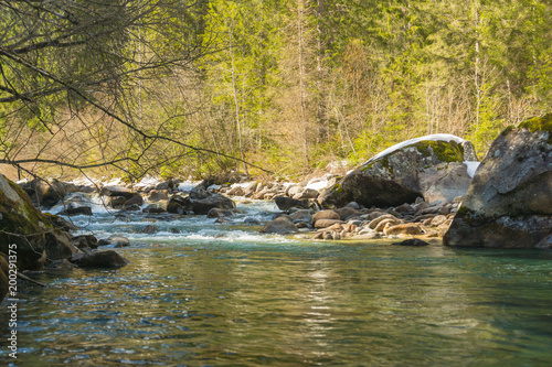 Walk in the forest by the mountain river Sarca in Val Genova next to the Cascate Nardis seen on a sunny spring day  Trentino  Italy  Europe