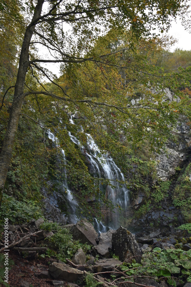Obraz premium paesaggi fiori e natura 