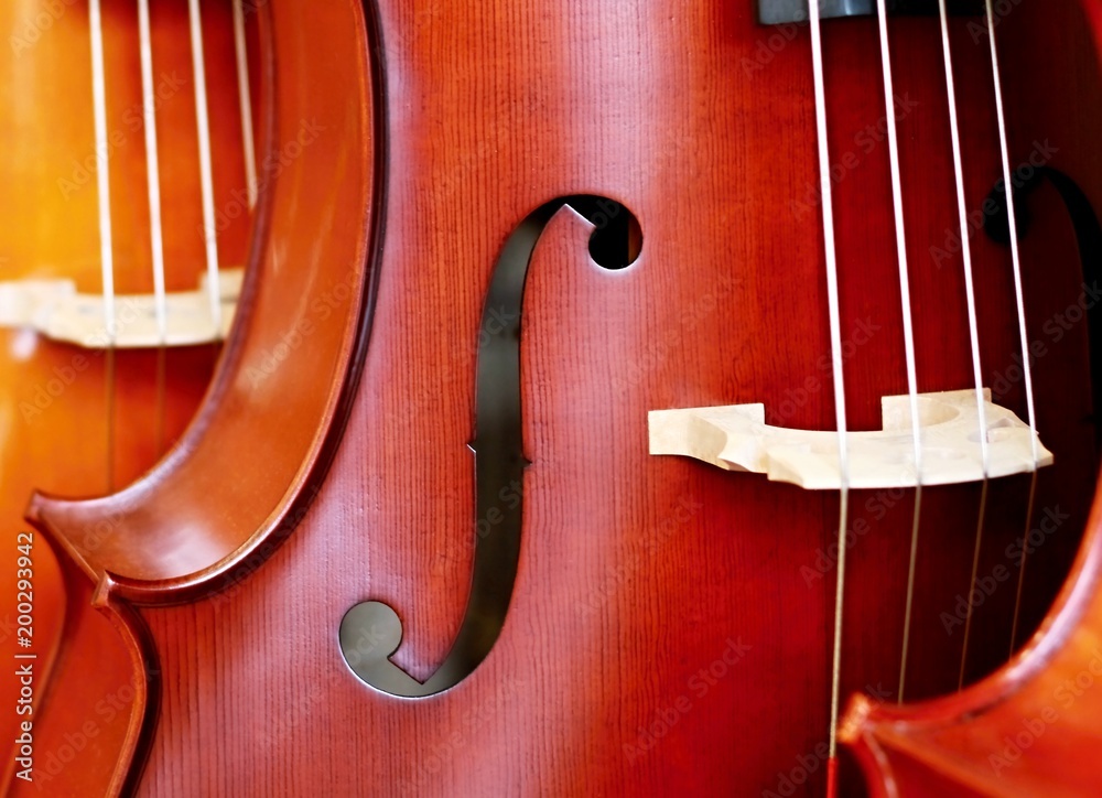 close-up image of a violin in a shop close-up image of a violin in a shop