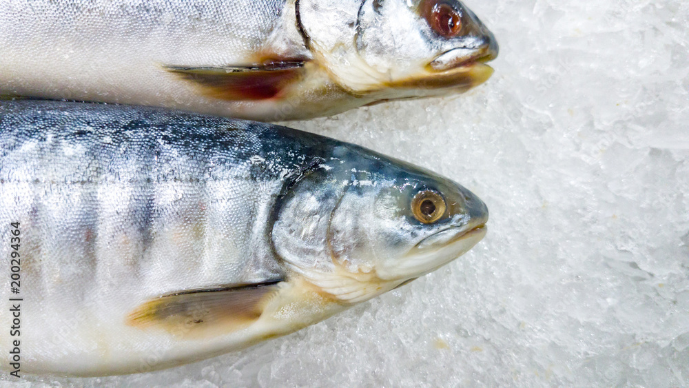Fish for cooking lies in the store on ice Fish for cooking lies in the store on ice