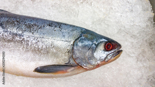 Fish for cooking lies in the store on ice