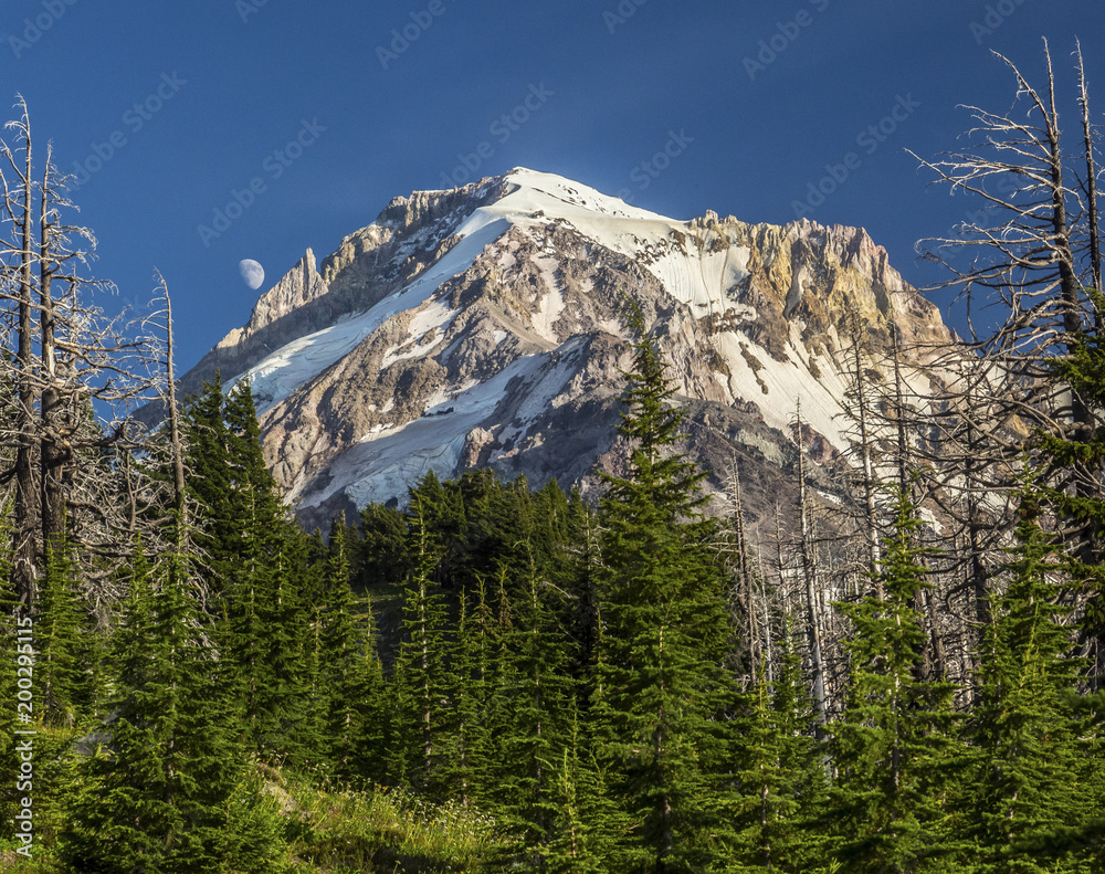 Mt. Hood oregon and a rising moon Mt. Hood oregon and a rising moon