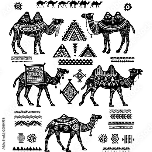 Set of stylized figures of Camels and ornament