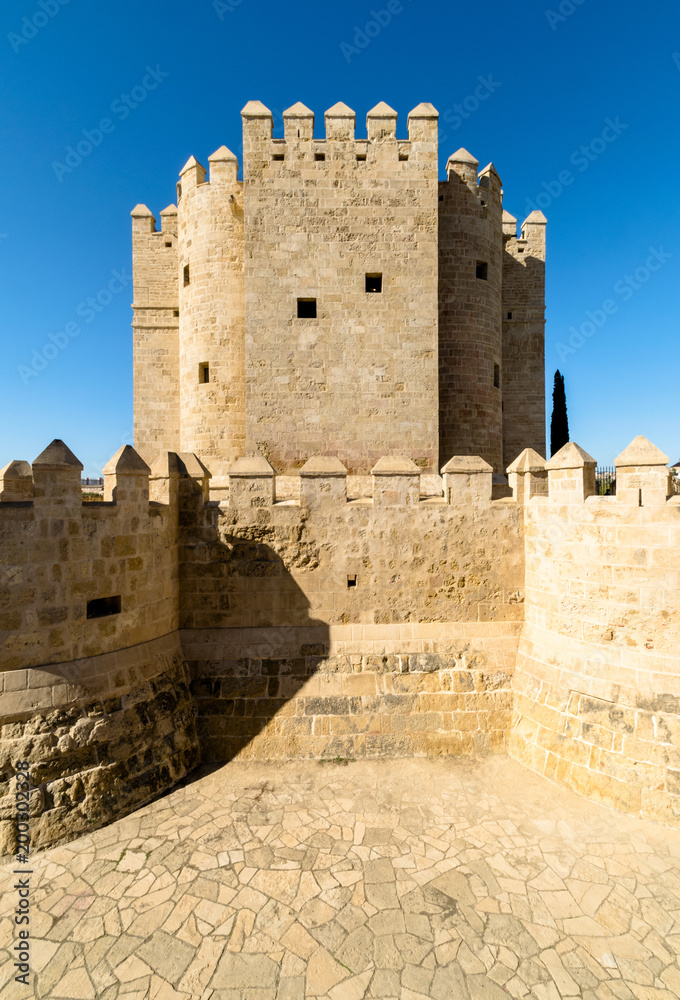 a symmetrical shot of the roman tower at Cordoba, Spain