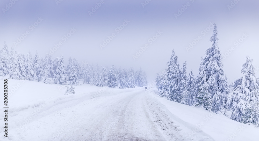 Winter landscape on the Brocken near Schierke Winter landscape on the Brocken near Schierke