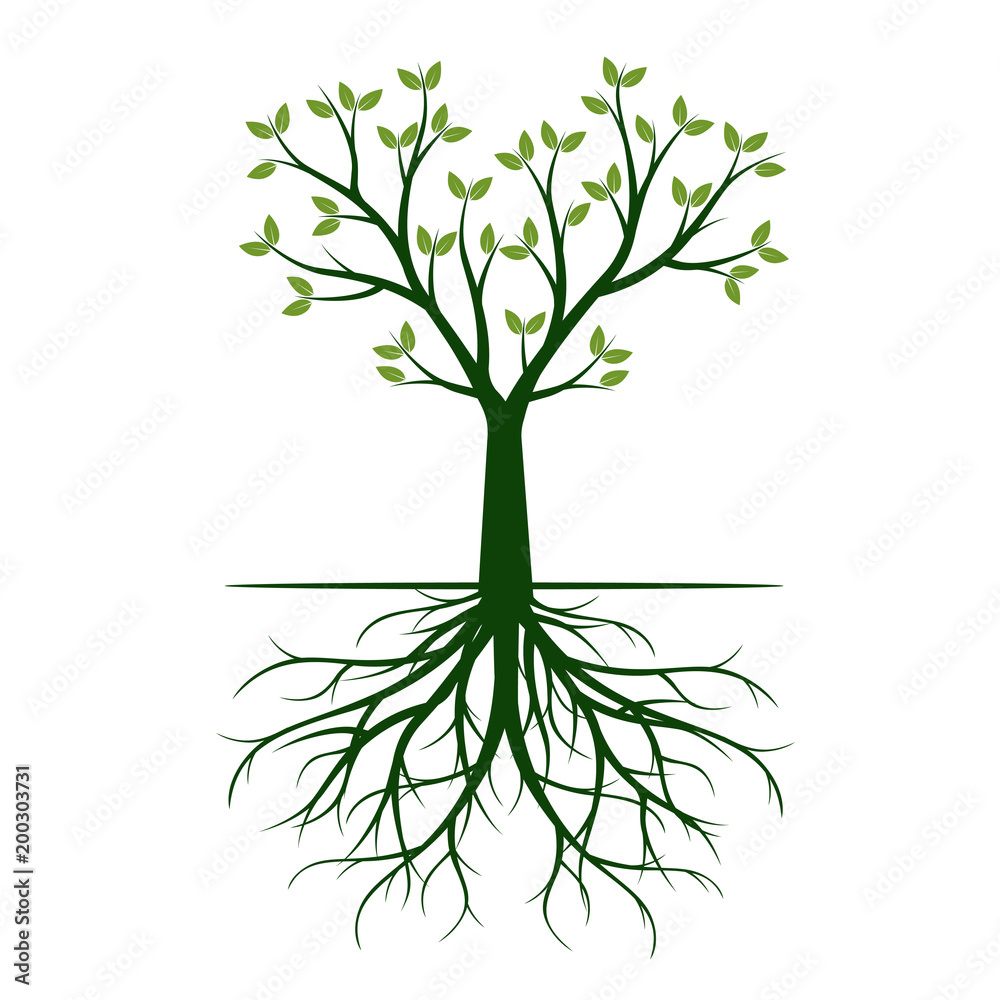 Green Tree with root. Vector Illustration. Green Tree with root. Vector Illustration.