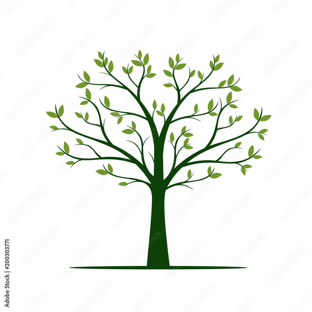 Green Tree with Leaves. Vector Illustration. Green Tree with Leaves. Vector Illustration.