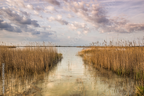 Seewinkel im Nationalpark Neusiedler See (A)