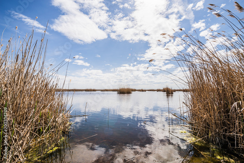 Seewinkel im Nationalpark Neusiedler See (A)
