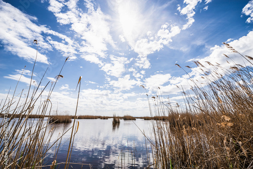 Seewinkel im Nationalpark Neusiedler See (A)