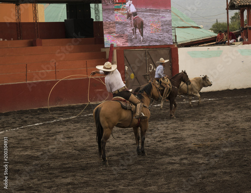 Cowboys in rodeo practice with rope