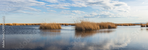 Seewinkel im Nationalpark Neusiedler See (A)