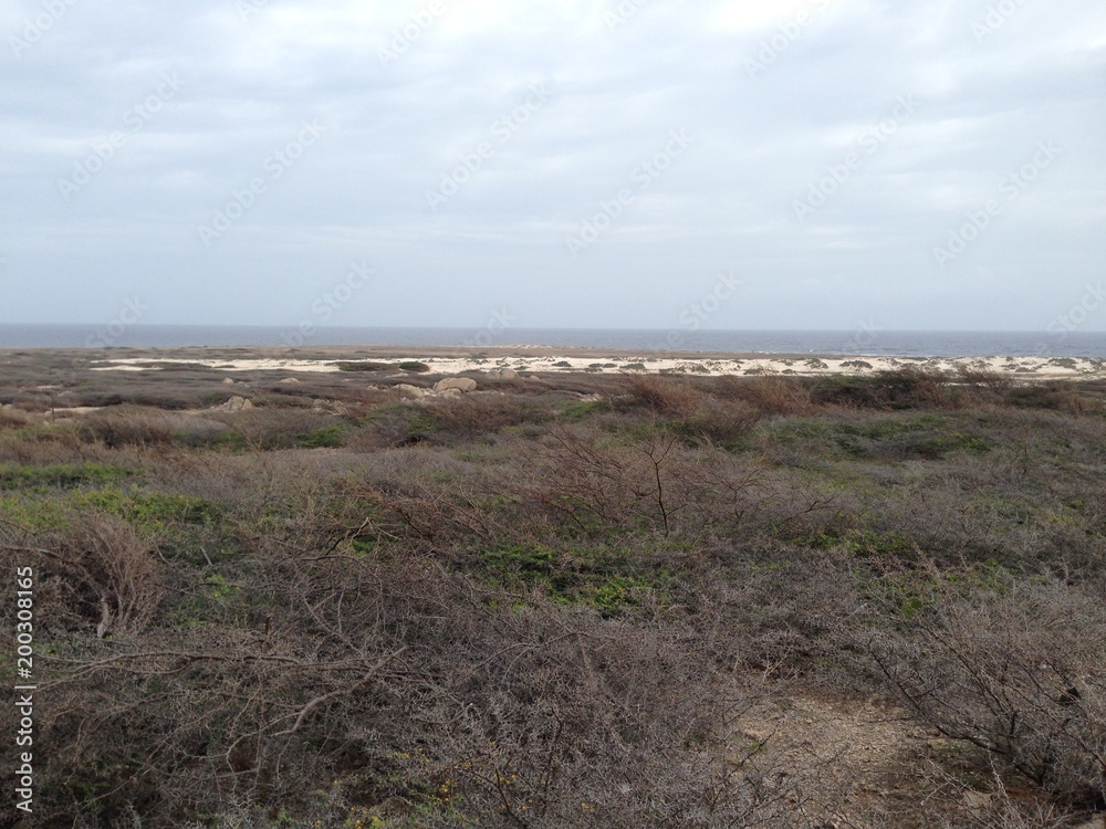 Aruba Desert