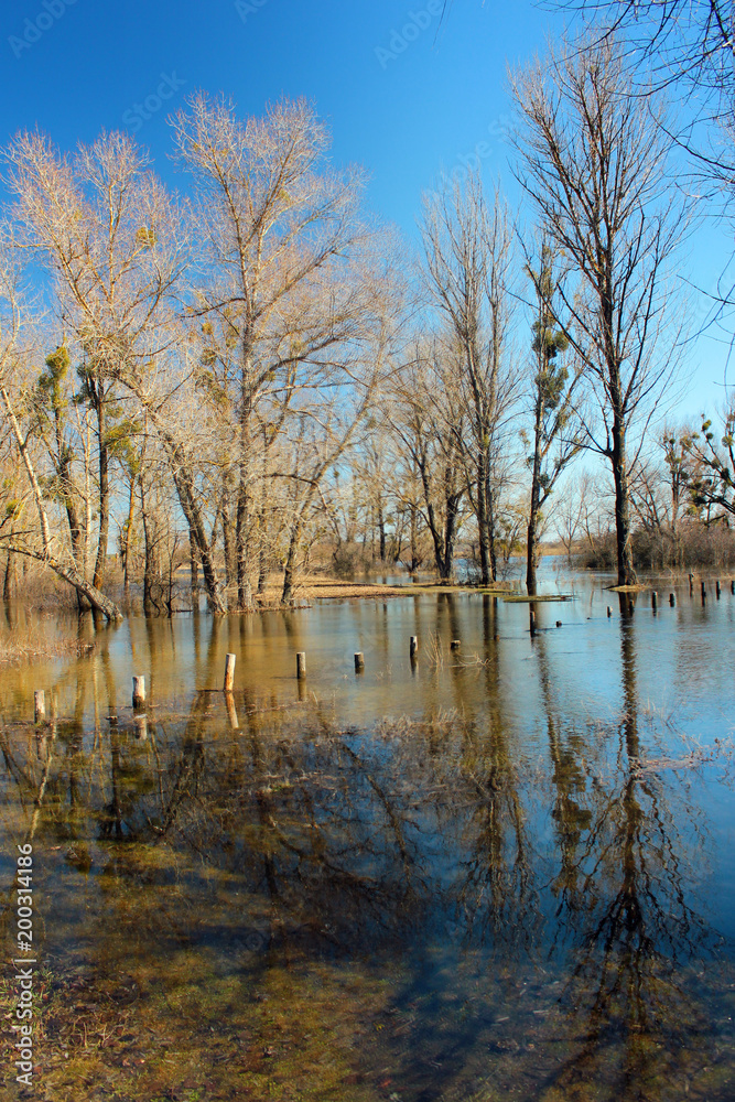 High water and seasonal flood in springtime after melting of snow