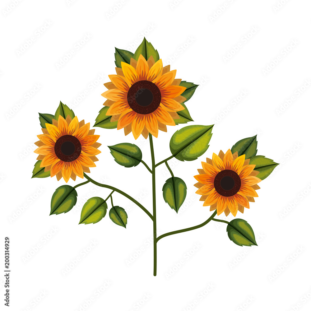 Obraz premium cute sunflower flower with leafs decorative