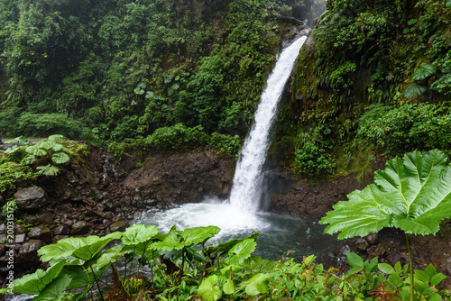 Fototapeta Naklejka Na Ścianę i Meble -  Waterfall in a lush green tropical landscape tumbling into a pool below
