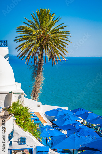 Obraz na płótnie Cafe with beautiful view on Sidi Bou Said harbour w salonie