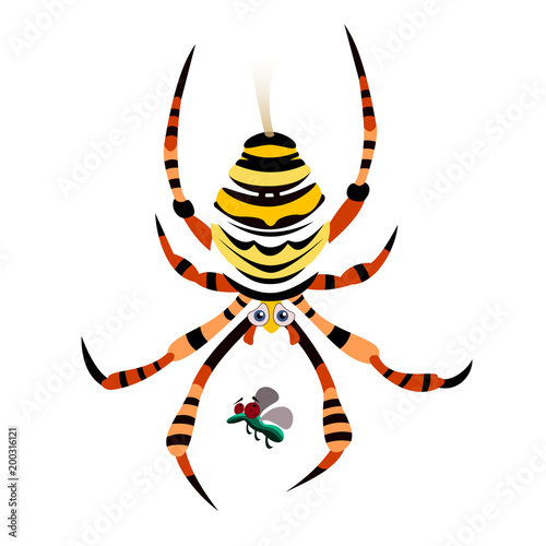 ARAÑA TIGRE
